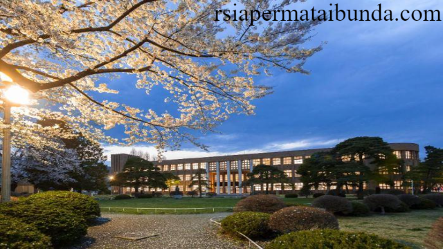 Daftar Rekomendasi 4 Universitas Terbaik di Jepang